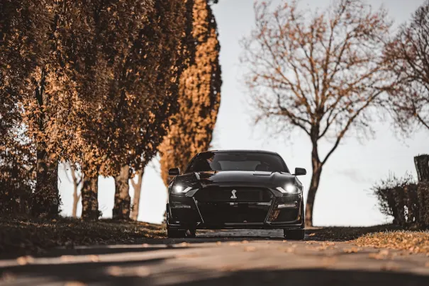 Fbet Kasino Android/iOS Aplikácia